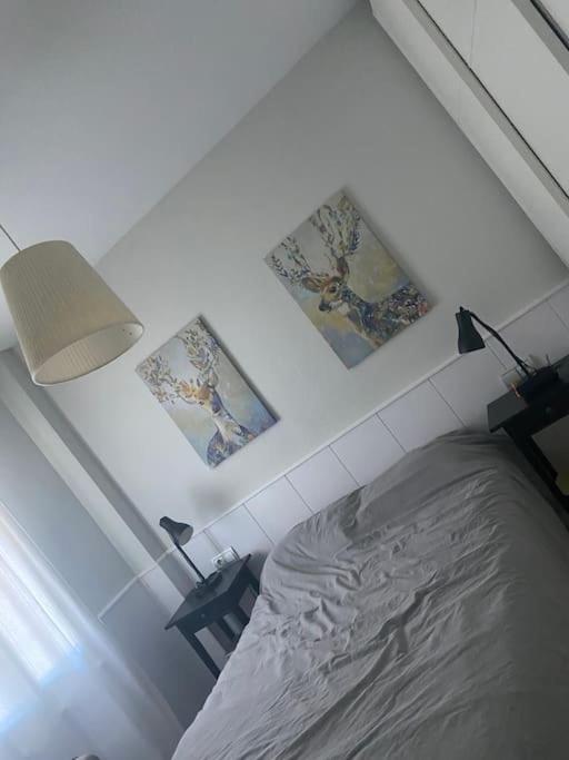 Apartamentos Rio Marinas 15 Playazo Beach Nerja Exterior photo